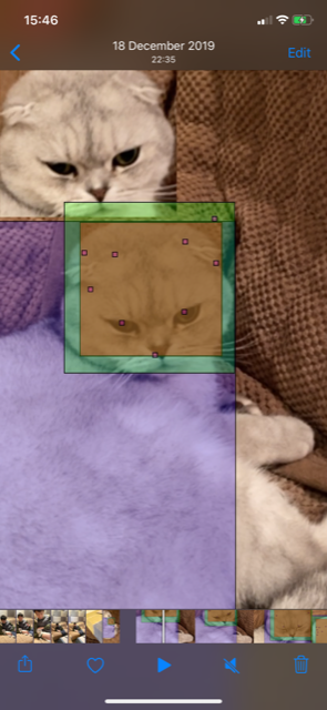 CatAI in action, Cat face detected with Vision ML