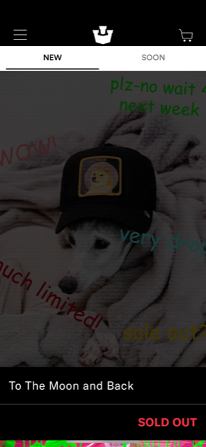 Screenshot of the Goorin Bros. app with a dog wrapped in a blanket wearing a hat.