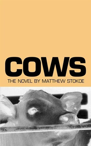 Cows book cover art