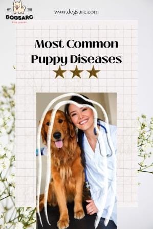 Most Common Puppy Diseases