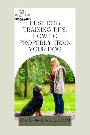 How to Properly Train your Dog