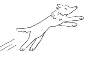 A hand-drawn illustration of a single dog running