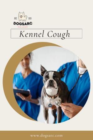 Kennel Cough in dogs