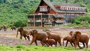 Aberdare National Park Safari