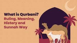 Qurbani Traditions and Guidelines: A Historical Islamic Perspective