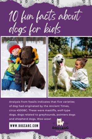 10 fun facts about dogs for kids