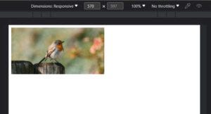 A Beginner’s Guide to Responsive Images in HTML
