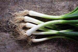 Spring Onion