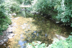 The Poquessing Creek Watershed falls within Northeast Philadelphia territory, with other pieces in Bensalem, Lower Southampton and small portions of Upper Southampton and Lower Moreland townships. The Friends of Poquessing Creek Watershed have lost support over the years and are now seeking new volunteers. MATT SCHICKLING / WIRE PHOTO