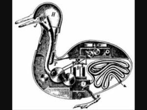 automata duck