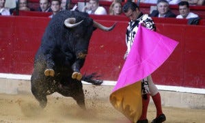 El Pilar bullfighting fair in Zaragoza