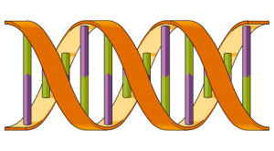 capa_genetics