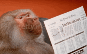 marketing-stategy-examples-monkey-reading