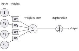 The Perceptron