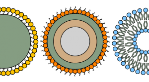 capa_nanotechnology