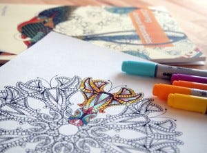 The Coloring Craze- Adult Coloring Books