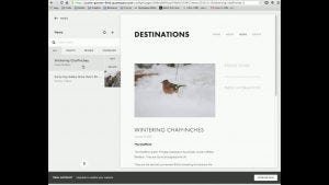 Adding a blog post to website using the Squarespace website builder. Credit: JIG Creative