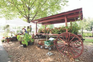PHOTO COURTESY OF SERENA SUTTON / The Bryn Athyn Bounty Farm Market is held Saturdays from 9 a.m. to noon. Much of the produce at the market is harvested just steps away from where it is sold. The gardens are maintained almost entirely by five Bryn Athyn College students. 
