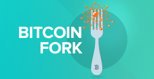 Bitcoin-fork