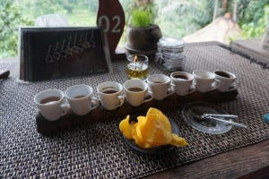 Coffee and Tea tasting at Bali Pulina in Tegallalang, Gianyar near Ubud
