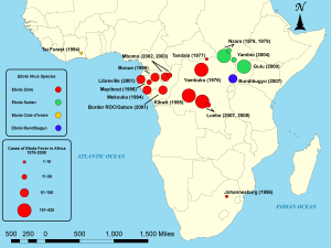 Origins of Ebola