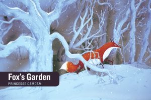 fox in the snowy woods
