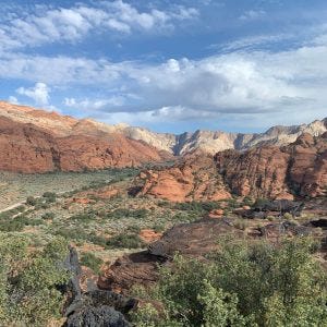 Barbara Mock's Retirement Journey to Snow Canyon and Angel Bird
