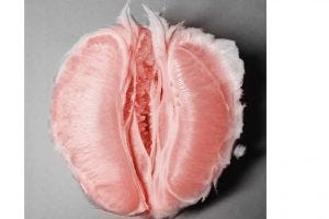 grapefruit-vagina