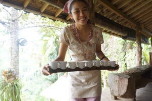 Coffee and Tea tasting over looking the Rice Terrace in Tegallalang