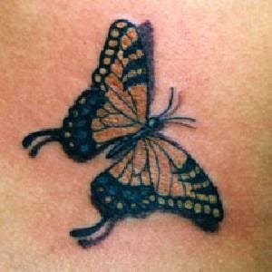 1026 butterfly tattoo