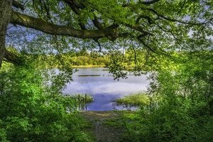 the wonderful lake, meeting the better ones is a great thing.