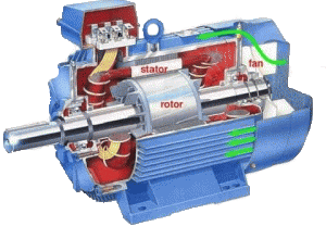 induction AC robot motor