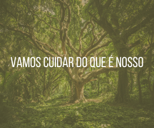 imagem da natureza com a frase” Vamos cuidar do que é nosso”