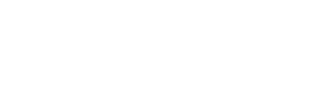 The Bold Italic
