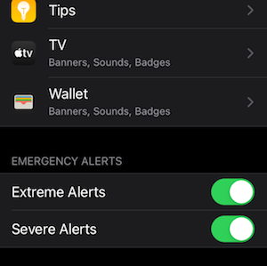 Emergency Alert settings in the notifications section of an iPhone