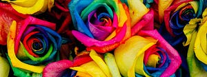 How Color Affects UX And Behavior