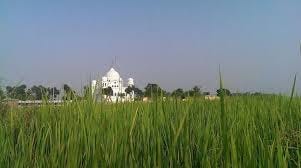 Lush Fields around Darbar Sahib Kartarpur