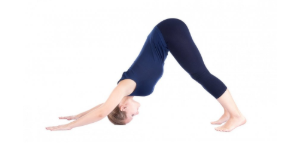 Yoga poses : Downward-Facing Dog (Adho Mukha Svanasana)