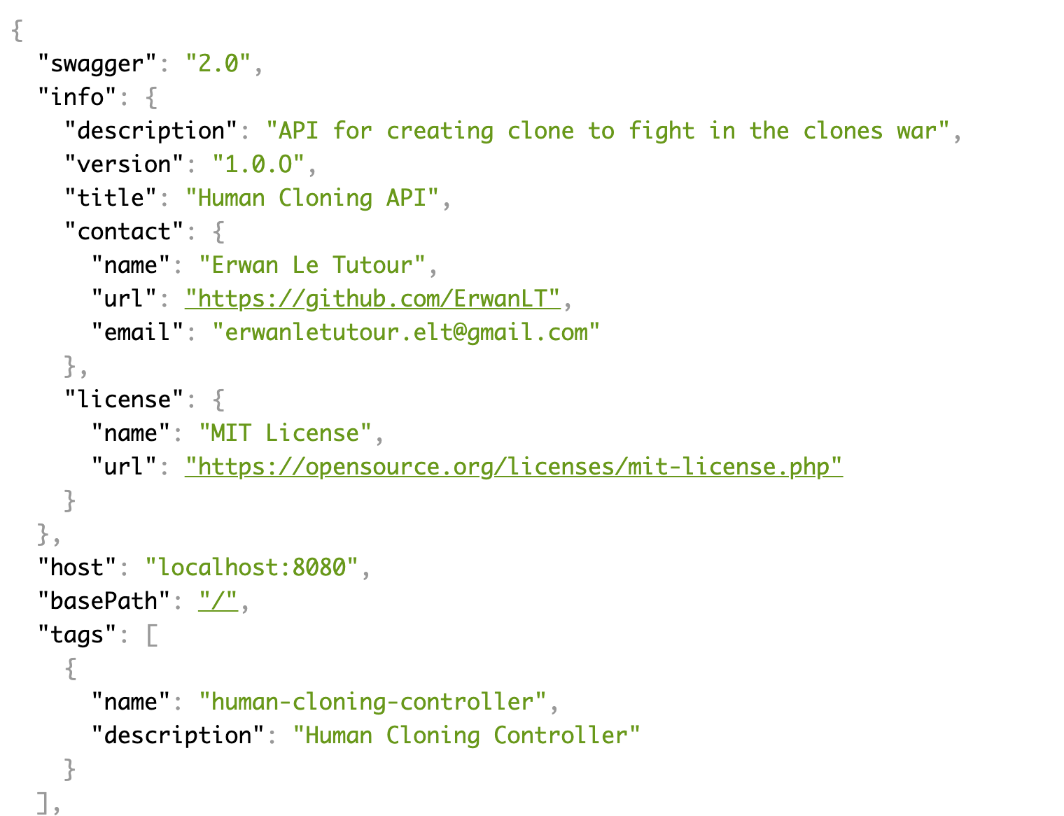 swagger-json