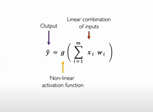 Mathematical equation of the perceptron