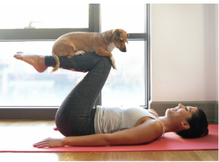 Dog yoga : Yoga style