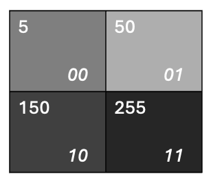 A 2x2 image with pixel positions (00, 01, 10, 11) and their corresponding color information (5, 50, 150, 255)