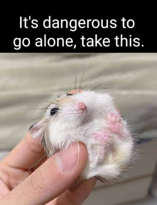 meme of a hand holding a hamster with text saying “it’s dangerous to go alone, take this”