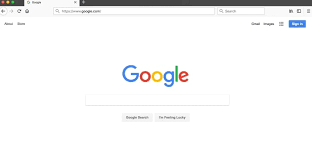 Google Homepage