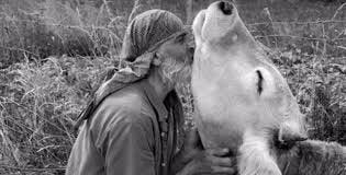 A man showing his friendly cow a warm embrace.