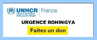 urgence rohingya appel au don