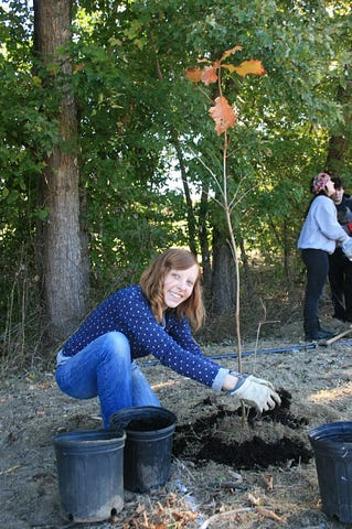PHOTO COURTESY OF TOOKANY/TACONY-FRANKFORD WATERSHED PARTNERSHIP A group of nearly 60 volunteers planted 350 trees and shrubs on the edge of the Abington Junior High School campus along the Tookany Creek. The plantings are part of a riparian buffer that protects the nearby waterway. 