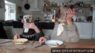Dogs with hands eating..... that's what this is, and it's great.