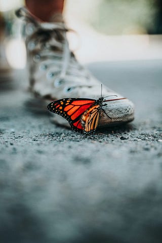 a beautiful red and orange butterfly sitting on someone white dirty converse