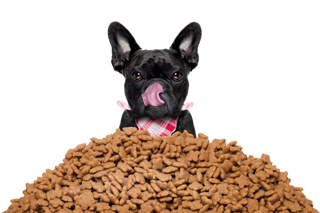 French Bulldog Puppy Feeding Guide